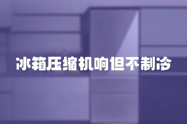 冰箱壓縮機響但不制冷