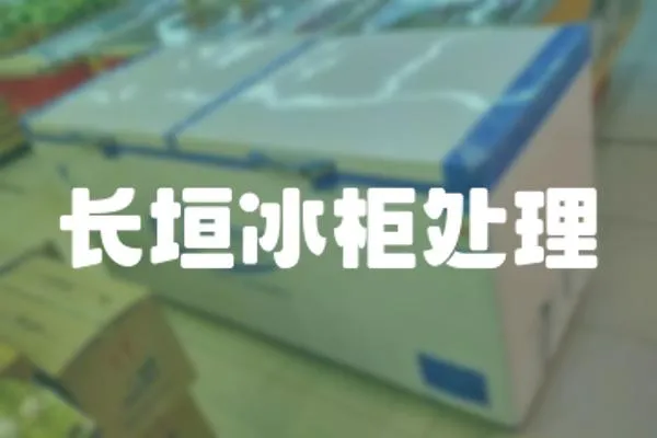 長(zhǎng)垣冰柜處理