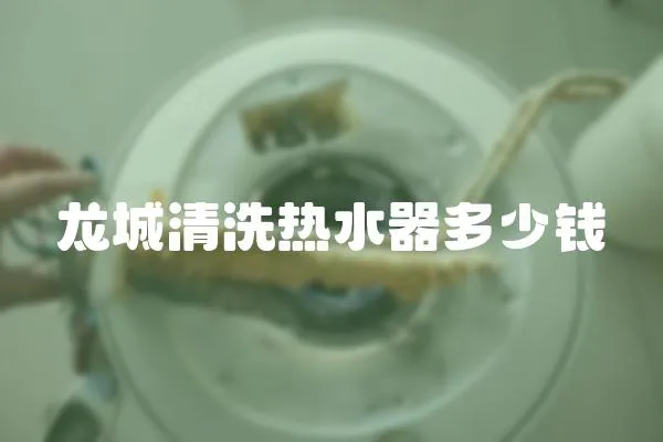 龍城清洗熱水器多少錢