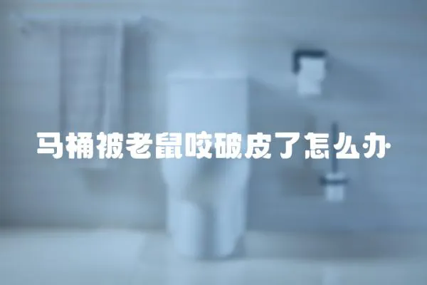 馬桶被老鼠咬破皮了怎么辦