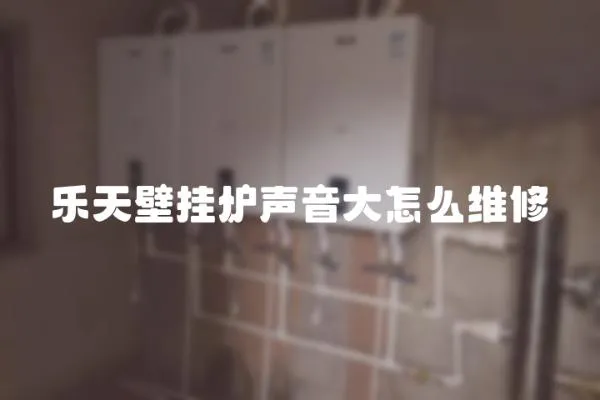 樂(lè)天壁掛爐聲音大怎么維修