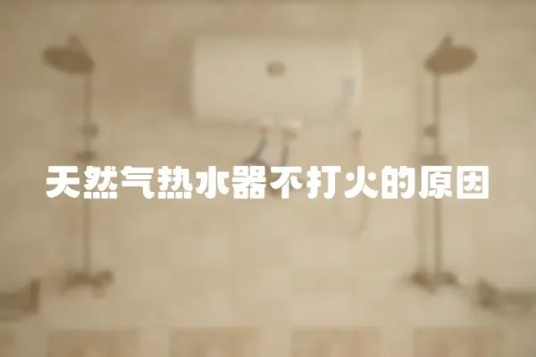 天然氣熱水器不打火的原因
