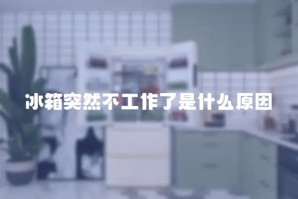 冰箱突然不工作了是什么原因
