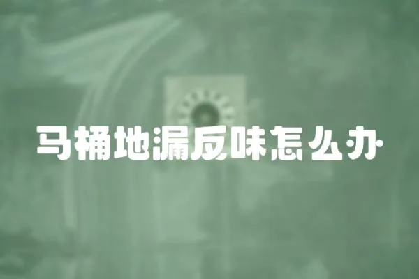 馬桶地漏反味怎么辦
