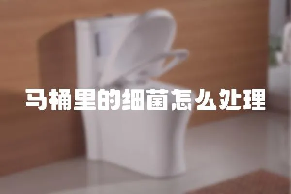 馬桶里的細(xì)菌怎么處理
