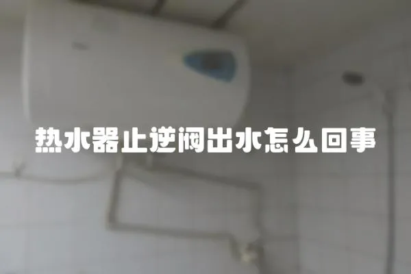 熱水器止逆閥出水怎么回事