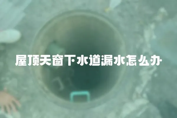屋頂天窗下水道漏水怎么辦