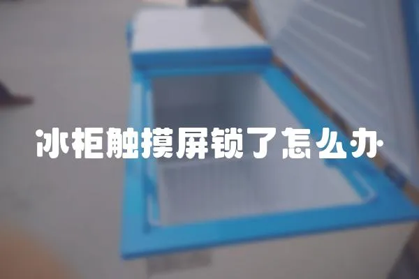 冰柜觸摸屏鎖了怎么辦