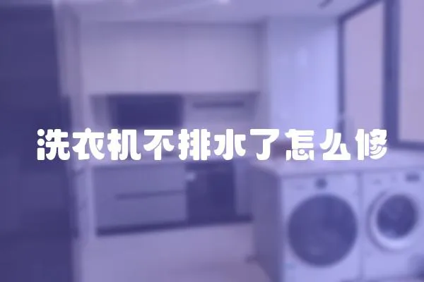 洗衣機(jī)不排水了怎么修