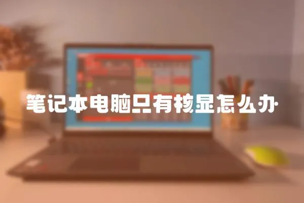 筆記本電腦只有核顯怎么辦