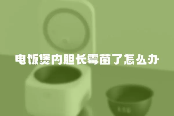 電飯煲內(nèi)膽長霉菌了怎么辦