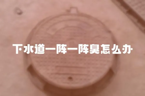 下水道一陣一陣臭怎么辦