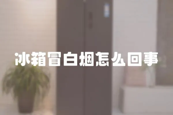 冰箱冒白煙怎么回事