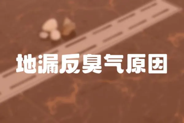 地漏反臭氣原因