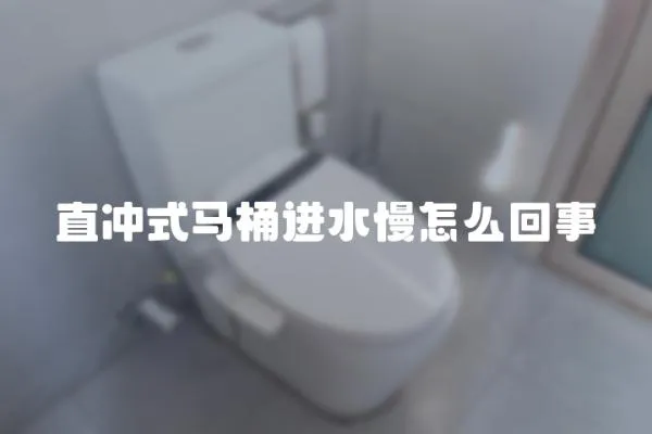 直沖式馬桶進水慢怎么回事