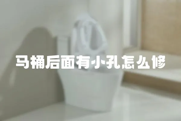 馬桶后面有小孔怎么修