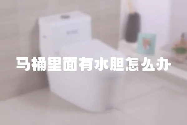 馬桶里面有水膽怎么辦