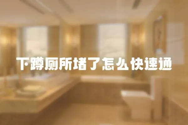 下蹲廁所堵了怎么快速通