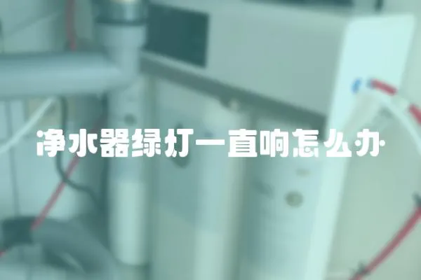 凈水器綠燈一直響怎么辦