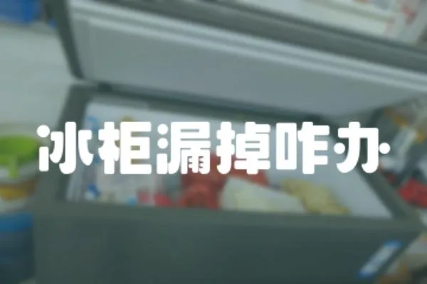 冰柜漏掉咋辦