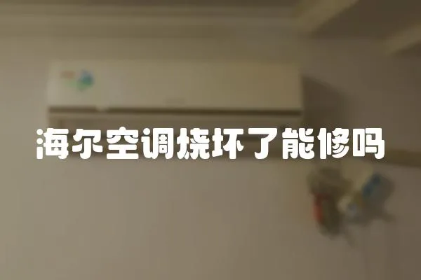 海爾空調燒壞了能修嗎