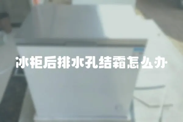 冰柜后排水孔結霜怎么辦