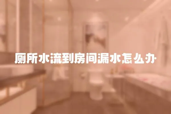 廁所水流到房間漏水怎么辦
