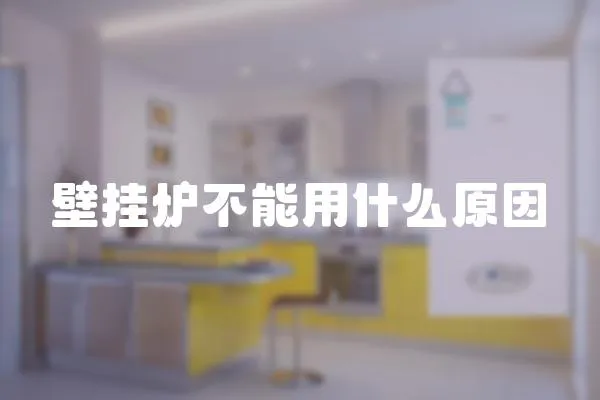 壁掛爐不能用什么原因
