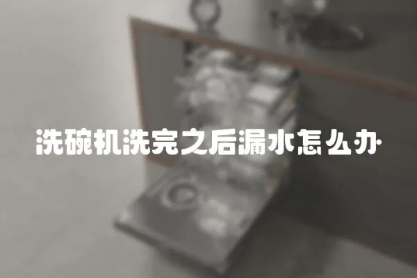 洗碗機洗完之后漏水怎么辦