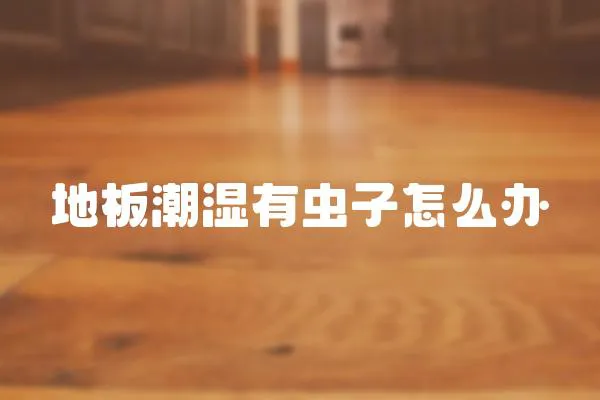 地板潮濕有蟲子怎么辦