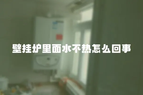 壁掛爐里面水不熱怎么回事