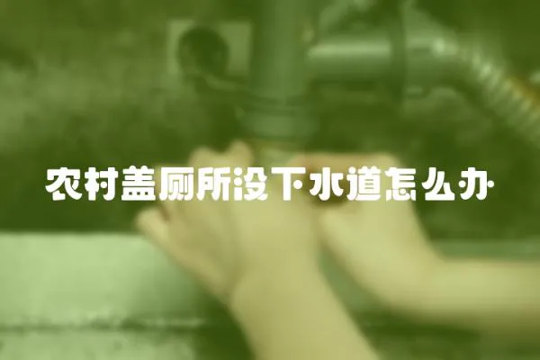 農村蓋廁所沒下水道怎么辦