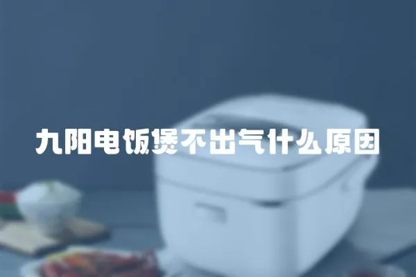 九陽電飯煲不出氣什么原因