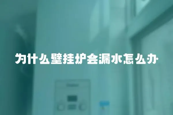 為什么壁掛爐會漏水怎么辦