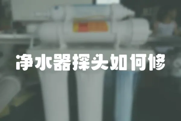 凈水器探頭如何修