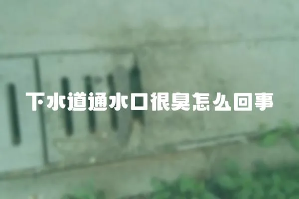 下水道通水口很臭怎么回事