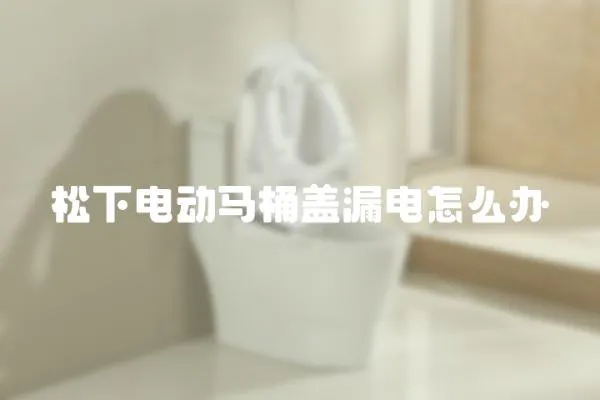松下電動馬桶蓋漏電怎么辦