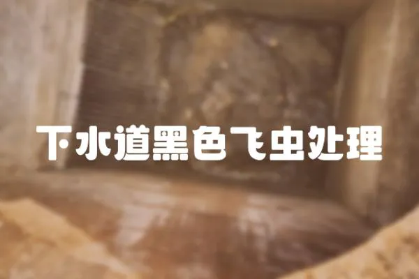 下水道黑色飛蟲處理