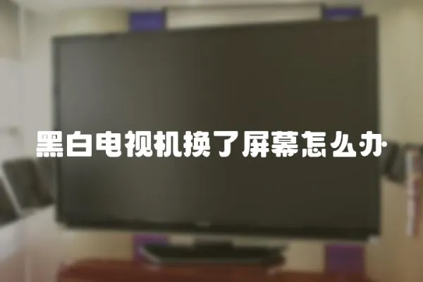 黑白電視機換了屏幕怎么辦