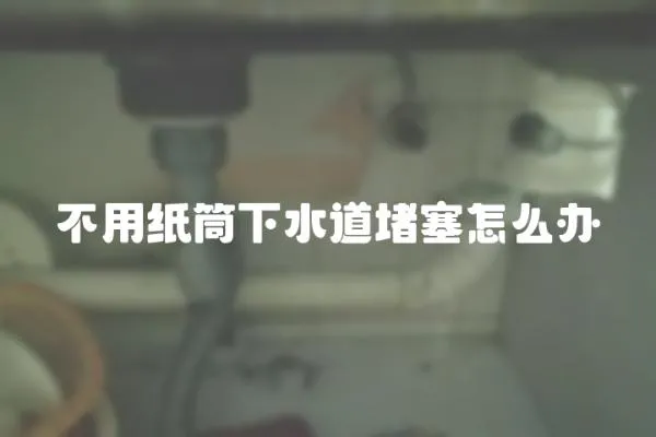 不用紙筒下水道堵塞怎么辦