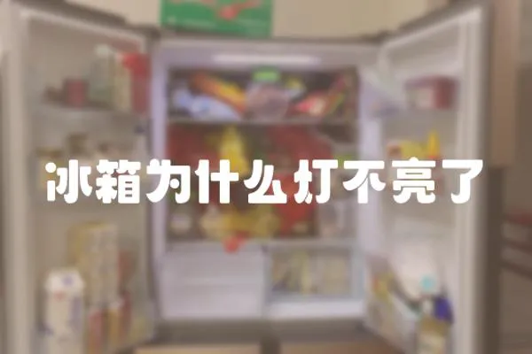 冰箱為什么燈不亮了