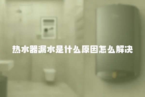 熱水器漏水是什么原因怎么解決