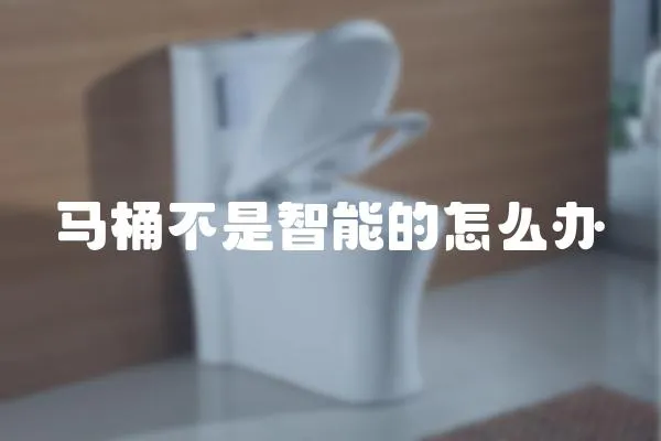 馬桶不是智能的怎么辦