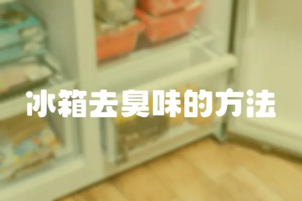冰箱去臭味的方法