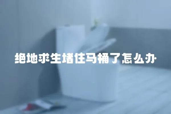 絕地求生堵住馬桶了怎么辦