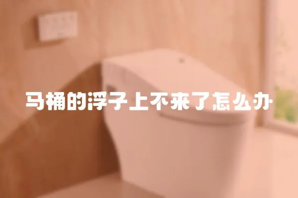 馬桶的浮子上不來(lái)了怎么辦