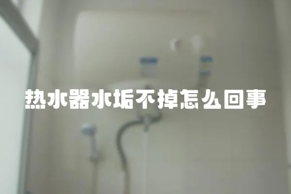 熱水器水垢不掉怎么回事