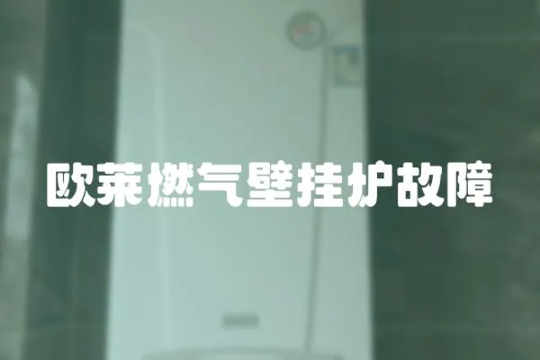 歐萊燃?xì)獗趻鞝t故障