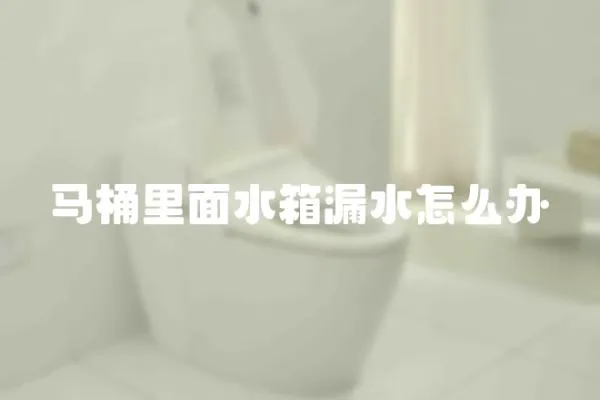 馬桶里面水箱漏水怎么辦
