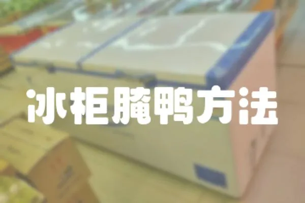 冰柜腌鴨方法